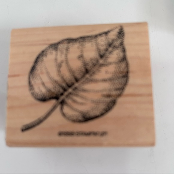 Stampin’ Up! 1998 8 pcs wood stamps - LEAVES & Cones - Picture 6 of 15